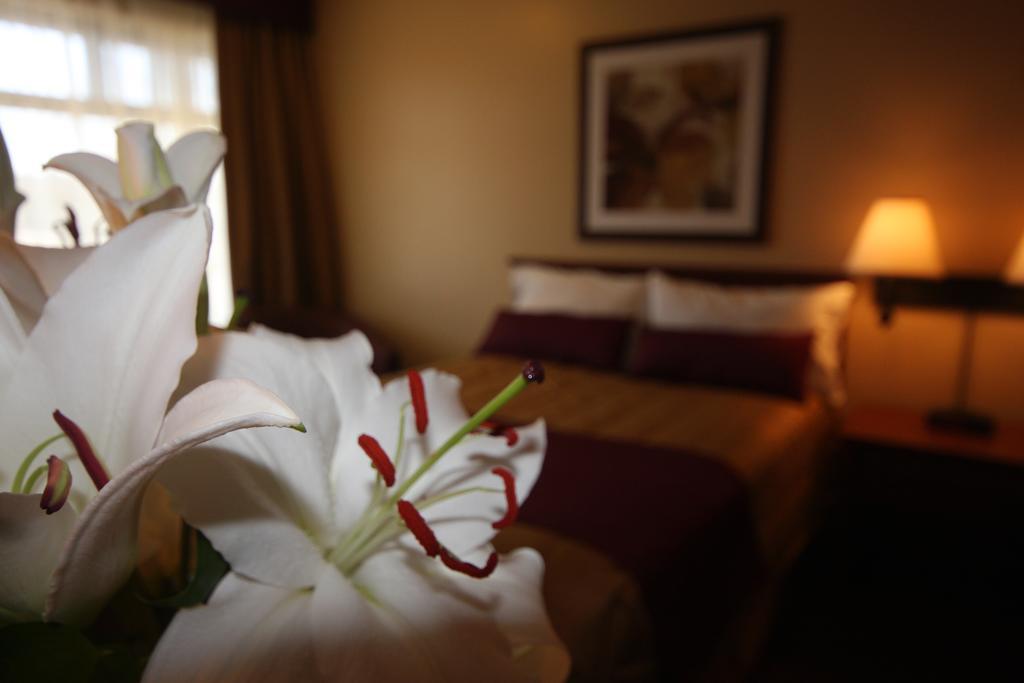 Motel Adam Gatineau Ruang foto